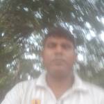 Pankaj Yadav Profile Picture