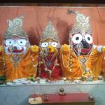 Sachin Tiwari Profile Picture