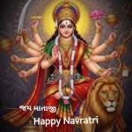 Subhash Vasava Profile Picture