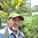 Maniramsahis Maniramsahis Profile Picture