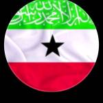 Asha Amal Profile Picture