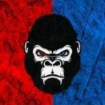 Gavi1209 Profile Picture