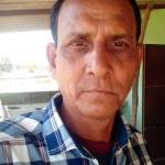 Paresh Pipaliya Profile Picture