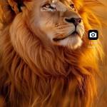 Mugabi Marvin Profile Picture