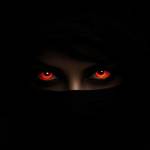 Deriars misiani Profile Picture