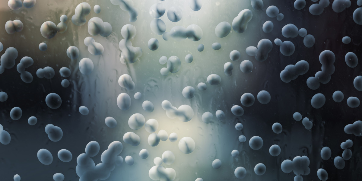 Exploring the Best Erectile Dysfunction Pills Out There On-line: A Complete Information