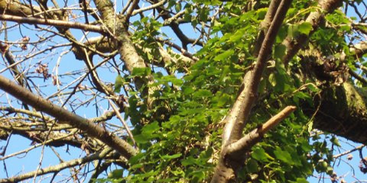 15 Best Online Casinos Australia 2025 Real Money Casino Sites