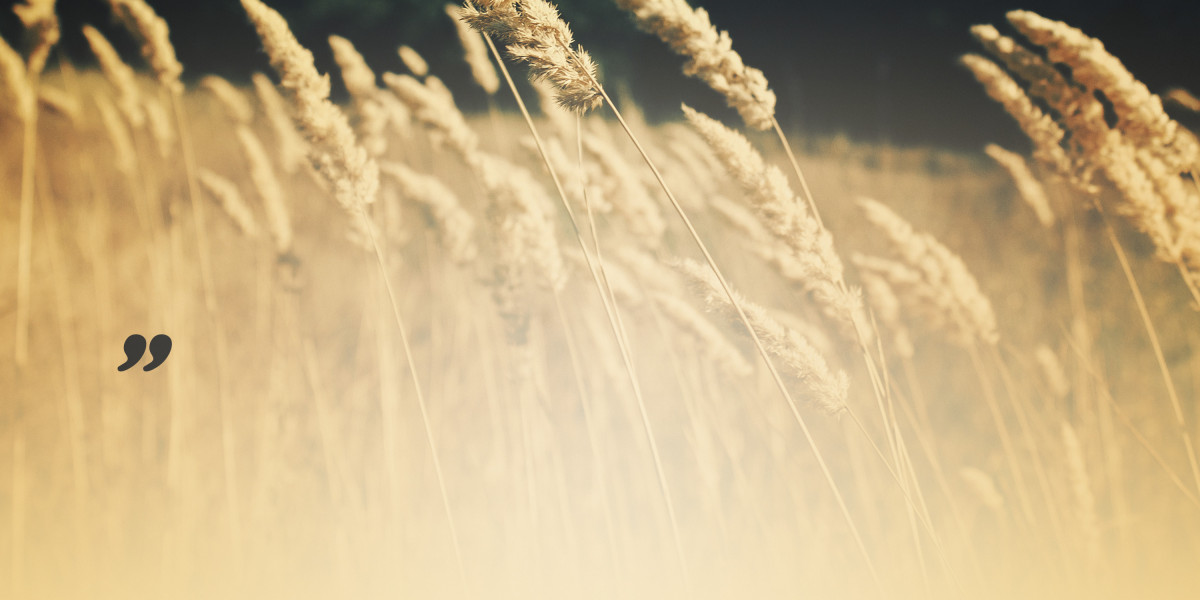 Bajit Jets: A Complete Overview