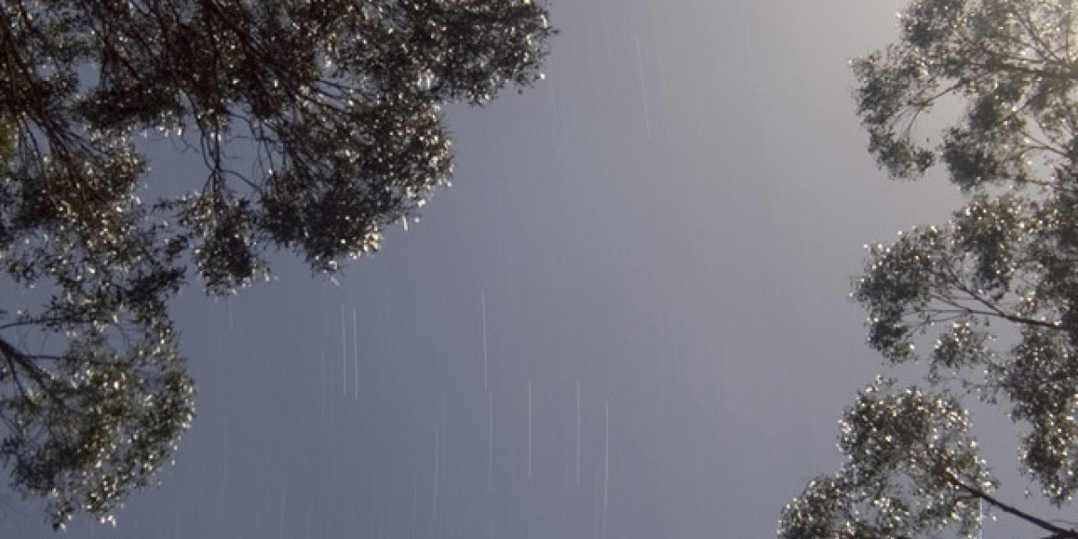 Best Online Casinos in Australia Top Casino Sites For 2025