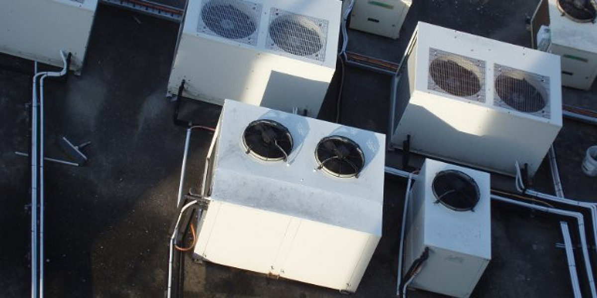 Meet the People Behind the Play