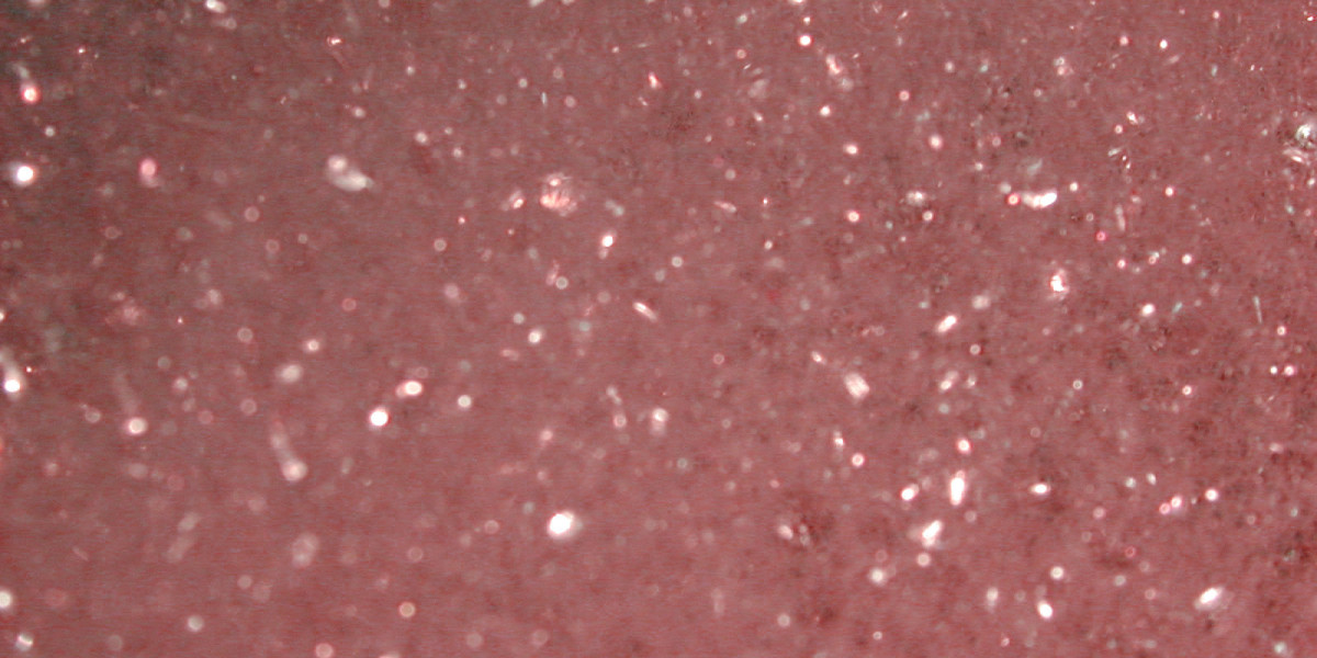 Meet the People Behind the Play