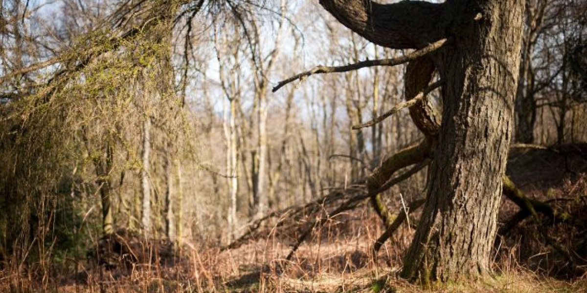 Meet the People Behind the Play