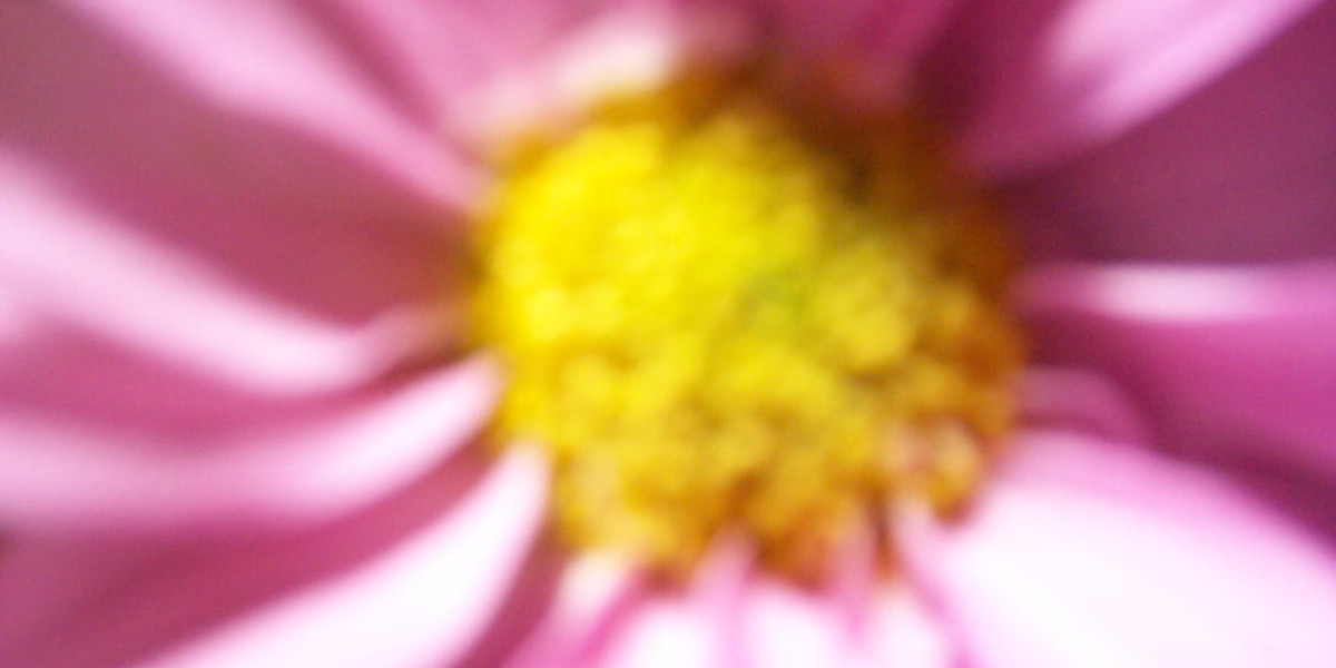 Where Play Pokies Online