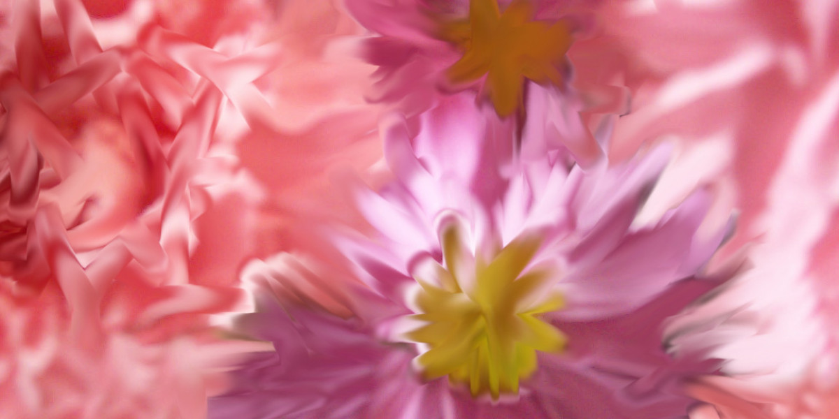 Meet the People Behind the Play