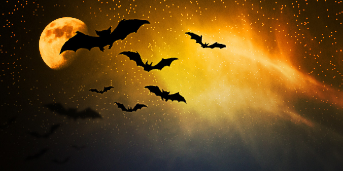 The Final Word Information To Private Jet Charter Membership: Unlocking Luxury Travel