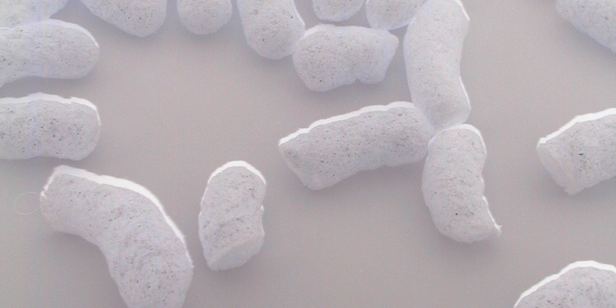 Play Online Slots & Live Casino Games