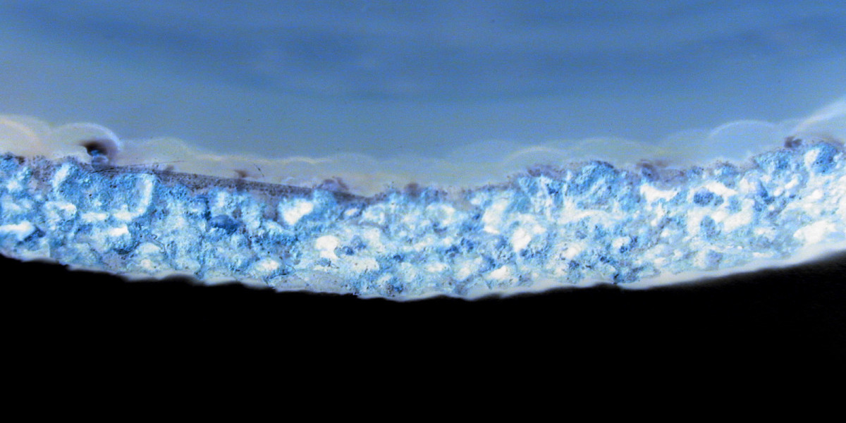 Stay Casino Review 2025- Welcome Pack $5000 + 350 FS