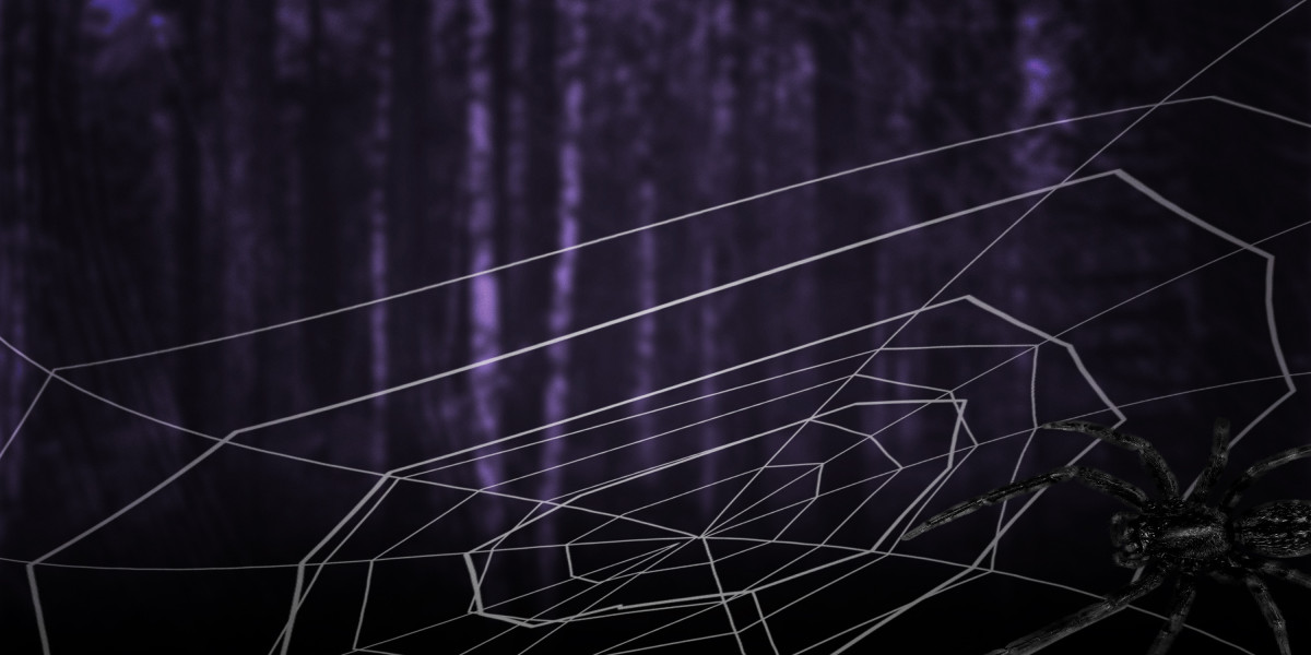 No Credit Check Fast Loans Online: A Complete Overview