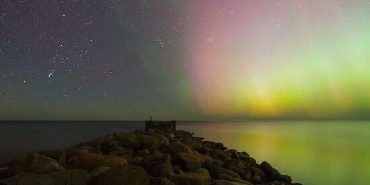 Workforce Management (WFM) - Accountability, Passion & Care