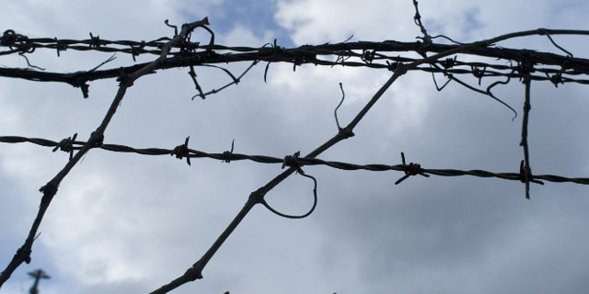 Meet the People Behind the Play