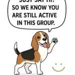 Musbaudeen Adekeye Profile Picture