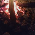 Chenna Profile Picture