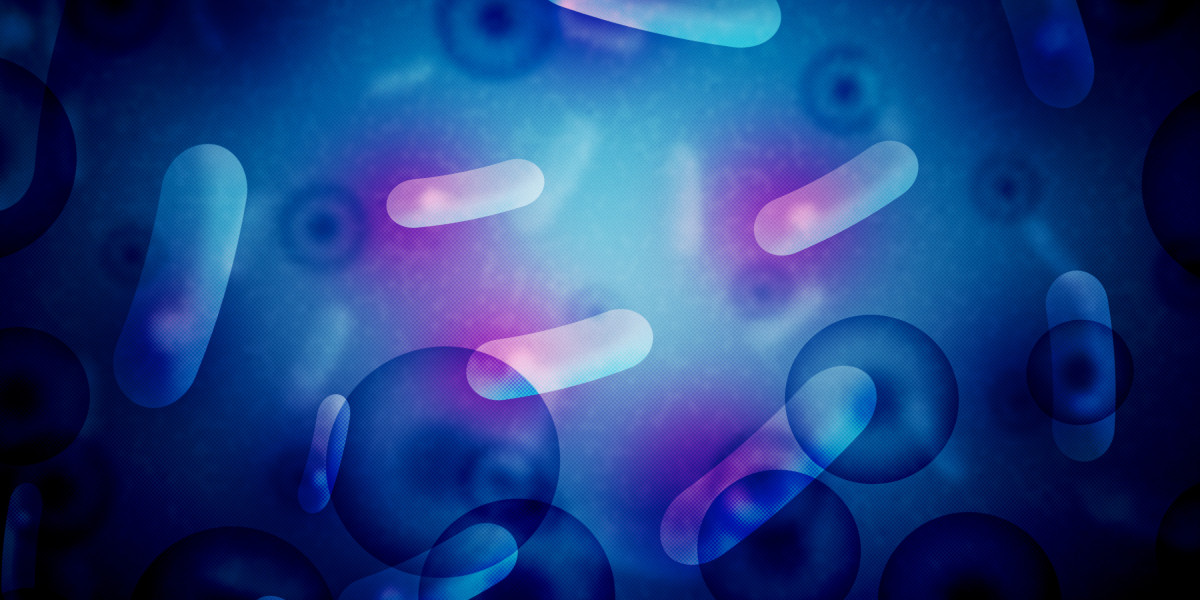 Understanding Charter Plane Prices: A Complete Guide