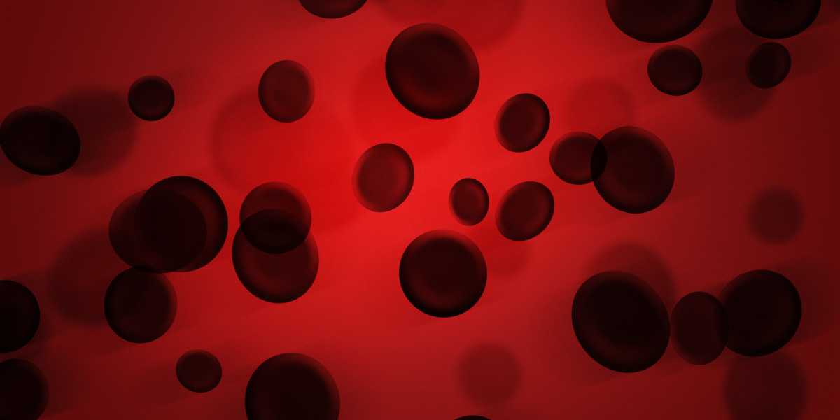 A Comparative Case Study of Gold IRA Companies